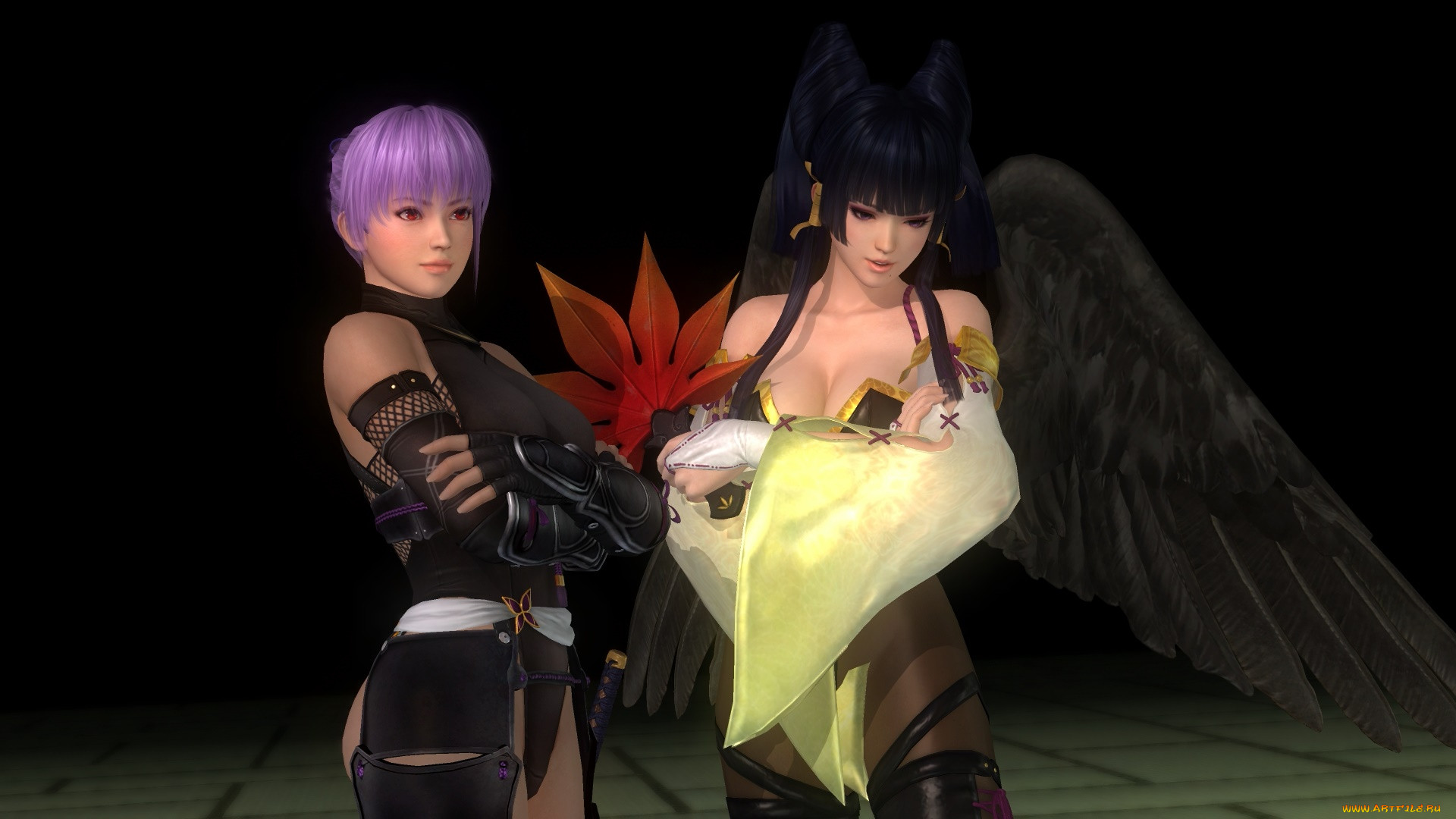  , dead or alive 5, , , , , 